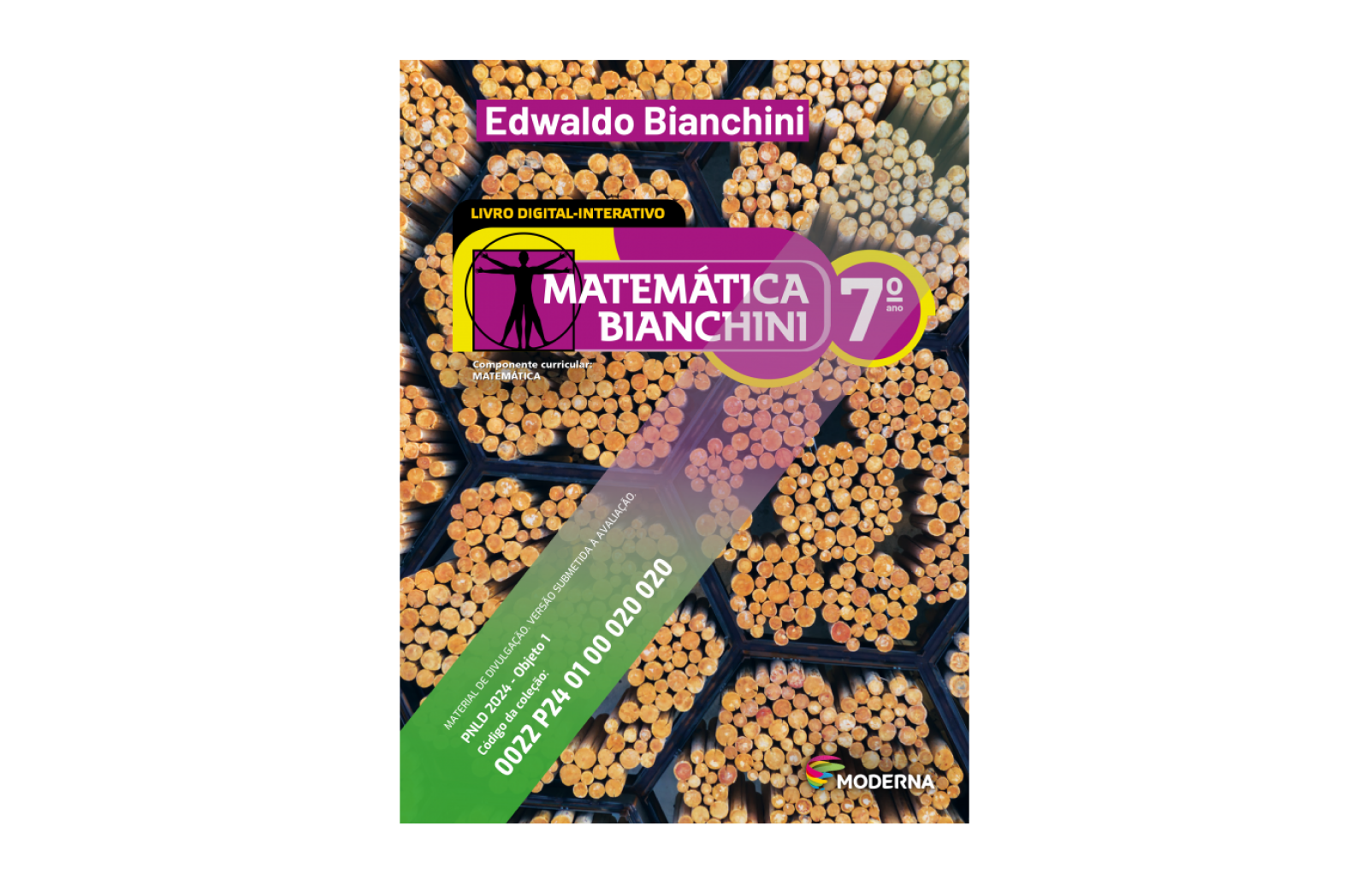 Imagem principal do livro