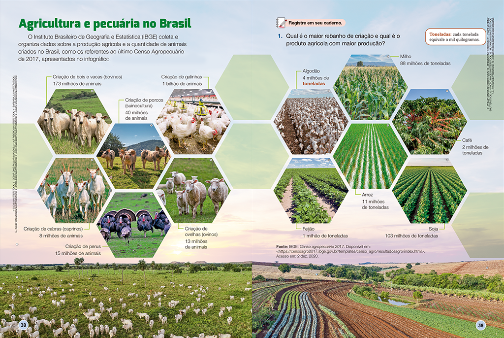 Essas páginas duplas trazem montagens gráficas que interligam visualmente textos e imagens, oferecendo uma nova perspectiva sobre o tema da unidade.
