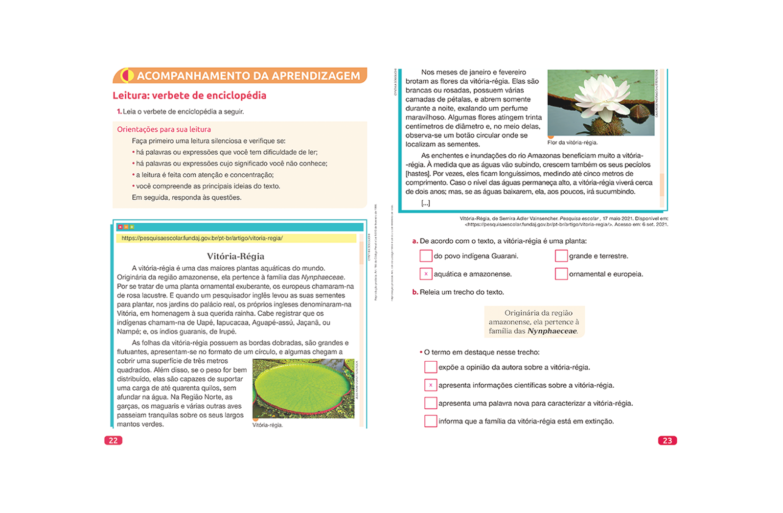Esta seção oferece atividades de alfabetização que possibilitam aos alunos aprendizagens relacionadas ao conhecimento alfabético, especialmente às relações entre fonemas e grafemas.